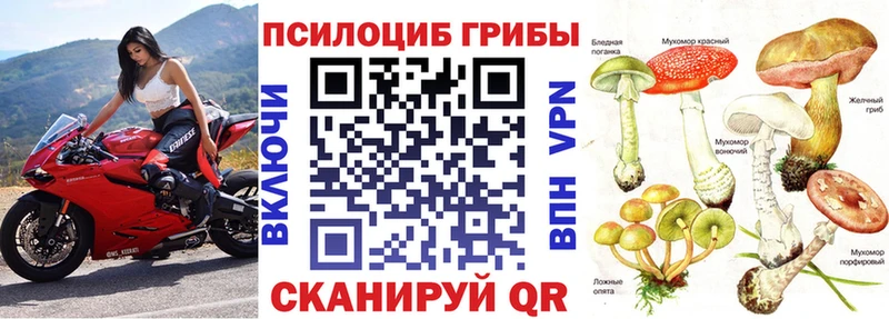 наркотики  Дыгулыбгей  Галлюциногенные грибы мухоморы 